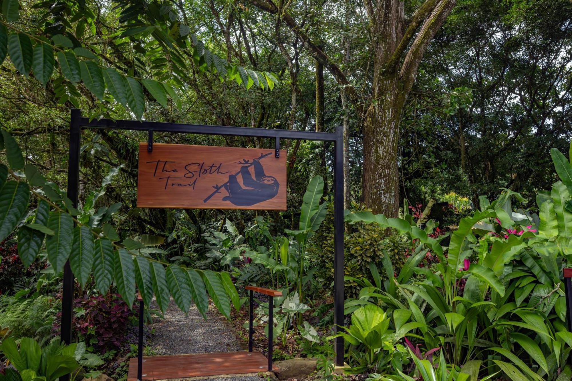 Noah'S Forest Hotel By Tifakara La Fortuna Exteriér fotografie
